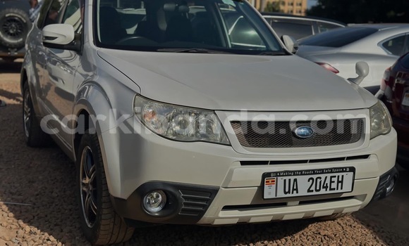 Buy New Subaru Forester White Car in Kalangala in Central Buy New Subaru Forester White Car in Kalangala in Central
