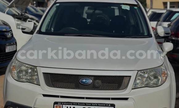 Buy New Subaru Forester White Car in Kalangala in Central Buy New Subaru Forester White Car in Kalangala in Central