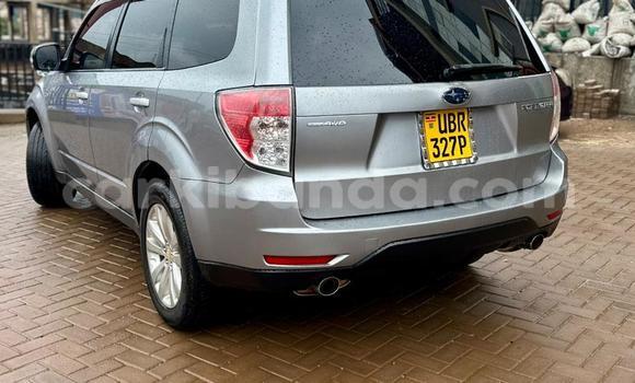 Buy Used Subaru Forester Other Car in Kampala in Uganda