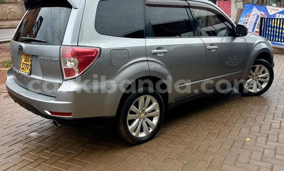 Buy Used Subaru Forester Other Car in Kampala in Uganda Buy Used Subaru Forester Other Car in Kampala in Uganda