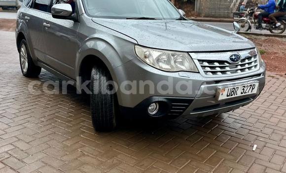 Buy Used Subaru Forester Other Car in Kampala in Uganda Buy Used Subaru Forester Other Car in Kampala in Uganda