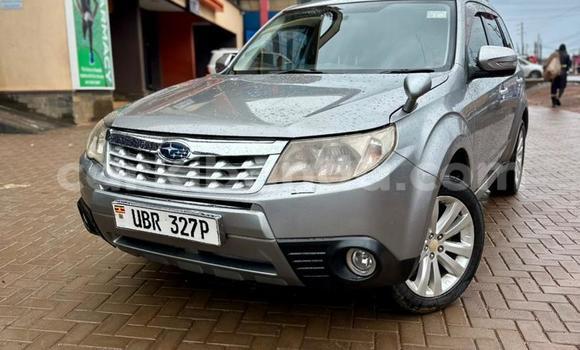 Buy Used Subaru Forester Other Car in Kampala in Uganda Buy Used Subaru Forester Other Car in Kampala in Uganda