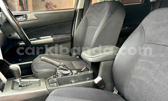 Buy Used Subaru Forester Other Car in Kampala in Uganda Buy Used Subaru Forester Other Car in Kampala in Uganda