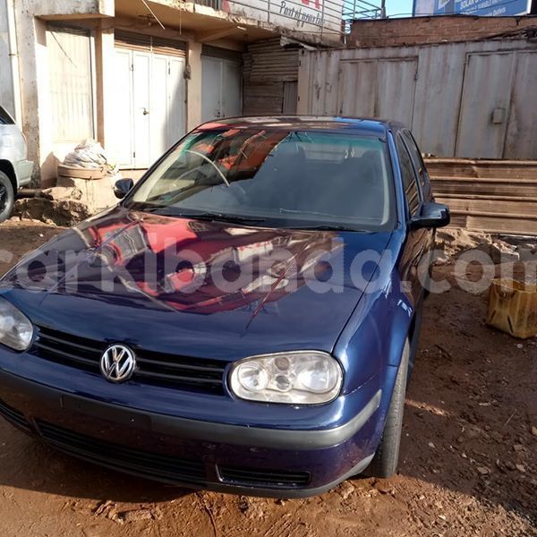 Big with watermark 49255448 1826247237498147 3677266611317768192 n