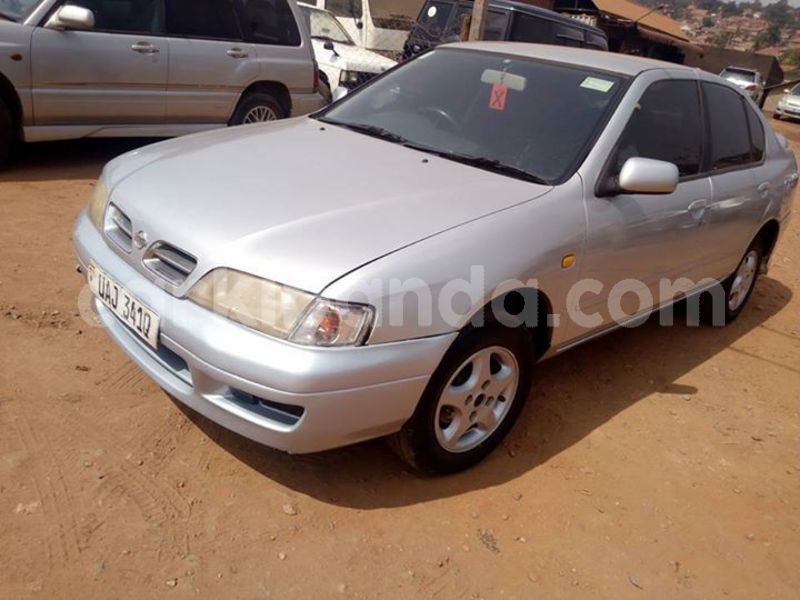 Big with watermark 51548738 2246356302093961 6912563628835078144 n