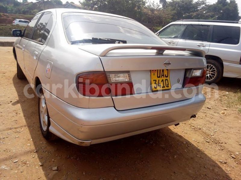 Big with watermark 51392710 2246356238760634 5019601546682302464 n