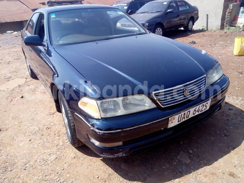 Big with watermark 51565869 2246986965364228 5326158419437027328 n