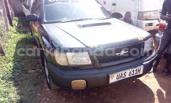 Nunua Ilio tumika Subaru Forester Nyeusi Gari ndani ya Kampala nchini Uganda Nunua Ilio tumika Subaru Forester Nyeusi Gari ndani ya Kampala nchini Uganda