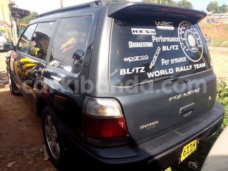 Big with watermark 51438970 2238870506175874 162902766597963776 n