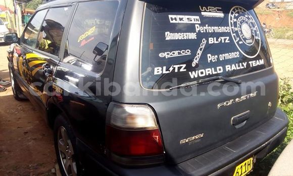 Nunua Ilio tumika Subaru Forester Nyeusi Gari ndani ya Kampala nchini Uganda Nunua Ilio tumika Subaru Forester Nyeusi Gari ndani ya Kampala nchini Uganda