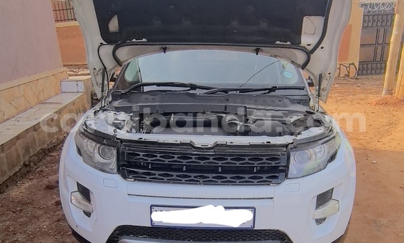 Buy Import Land Rover Range Rover Evoque White Car in Nansana in Uganda