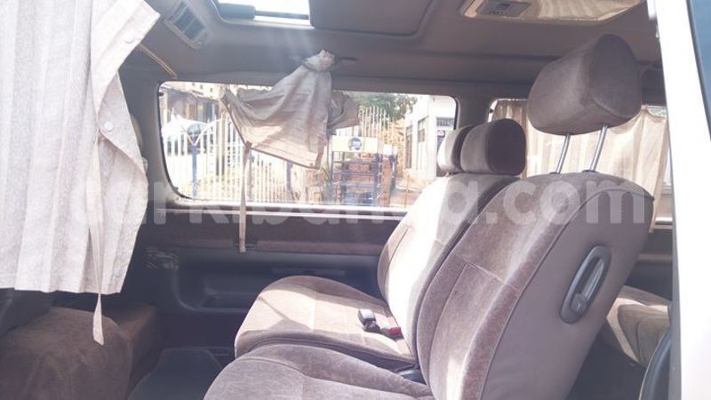 Big with watermark 47575572 2291631164403521 688946289383047168 o