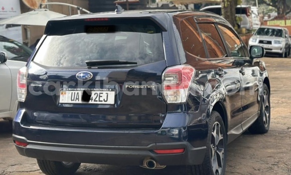 Buy New Subaru Forester Other Car in Kampala in Uganda Buy New Subaru Forester Other Car in Kampala in Uganda