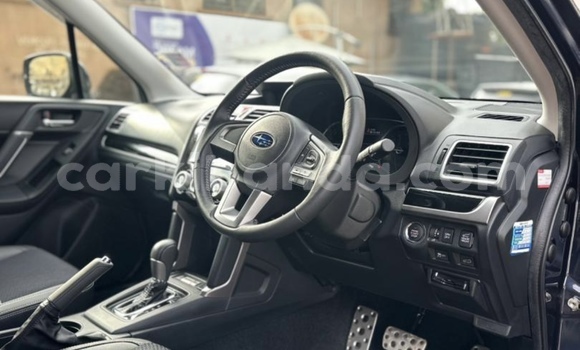 Buy New Subaru Forester Other Car in Kampala in Uganda Buy New Subaru Forester Other Car in Kampala in Uganda