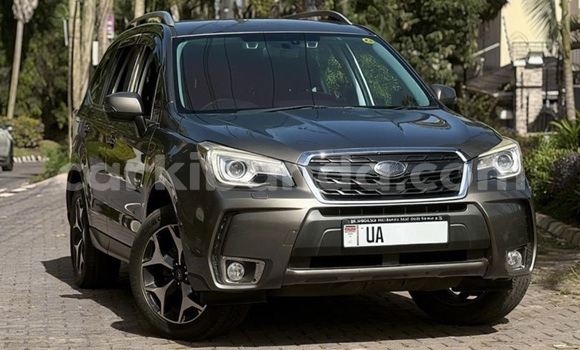 Buy New Subaru Forester Other Car in Kampala in Uganda Buy New Subaru Forester Other Car in Kampala in Uganda