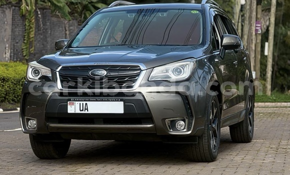 Buy New Subaru Forester Other Car in Kampala in Uganda Buy New Subaru Forester Other Car in Kampala in Uganda