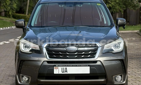 Buy New Subaru Forester Other Car in Kampala in Uganda Buy New Subaru Forester Other Car in Kampala in Uganda