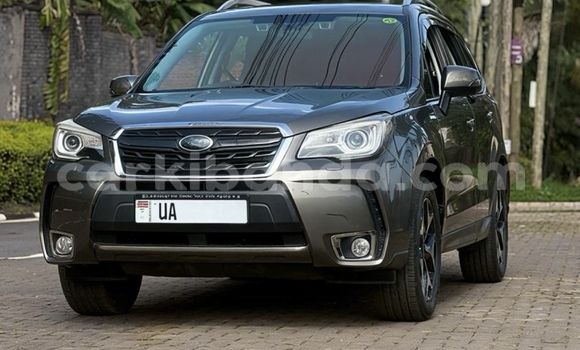 Buy New Subaru Forester Other Car in Kampala in Uganda Buy New Subaru Forester Other Car in Kampala in Uganda