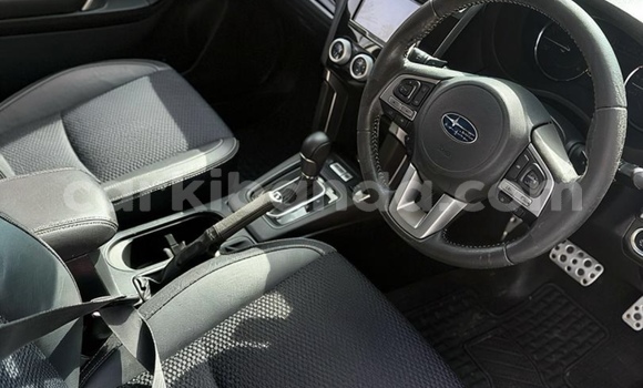 Buy New Subaru Forester Other Car in Kampala in Uganda Buy New Subaru Forester Other Car in Kampala in Uganda