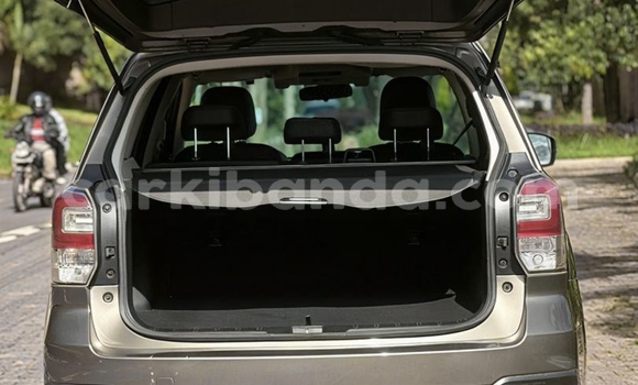 Buy New Subaru Forester Other Car in Kampala in Uganda Buy New Subaru Forester Other Car in Kampala in Uganda