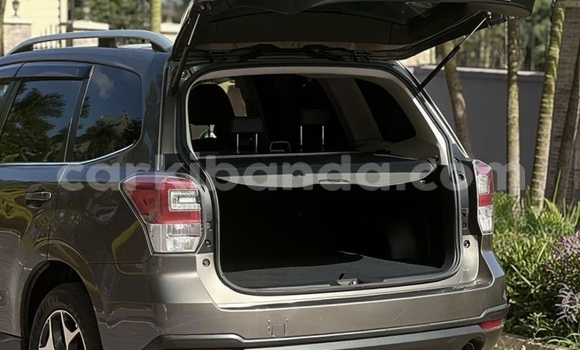 Buy New Subaru Forester Other Car in Kampala in Uganda Buy New Subaru Forester Other Car in Kampala in Uganda