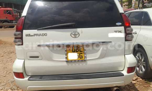 Buy Used Toyota Land Cruiser Prado White Car in Kampala in Uganda