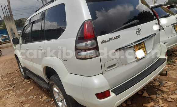 Nunua Ilio tumika Toyota Land Cruiser Prado Nyeupe Gari ndani ya Kampala nchini Uganda Nunua Ilio tumika Toyota Land Cruiser Prado Nyeupe Gari ndani ya Kampala nchini Uganda