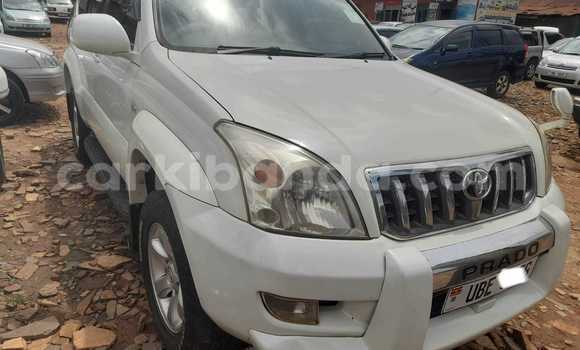 Nunua Ilio tumika Toyota Land Cruiser Prado Nyeupe Gari ndani ya Kampala nchini Uganda Nunua Ilio tumika Toyota Land Cruiser Prado Nyeupe Gari ndani ya Kampala nchini Uganda