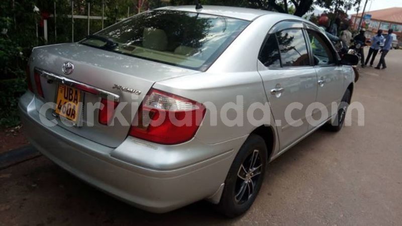 Big with watermark 46401786 2280081172225187 881833210516865024 o