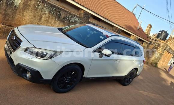 Buy New Subaru Outback White Car in Kampala in Uganda Buy New Subaru Outback White Car in Kampala in Uganda