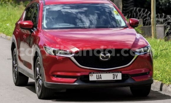 Nunua Mpya Mazda CX-5 Nyekundu Gari ndani ya Kampala nchini Uganda Nunua Mpya Mazda CX-5 Nyekundu Gari ndani ya Kampala nchini Uganda