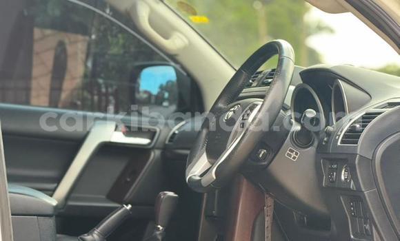 Buy New Toyota LiteAce White Car in Kampala in Uganda Buy New Toyota LiteAce White Car in Kampala in Uganda