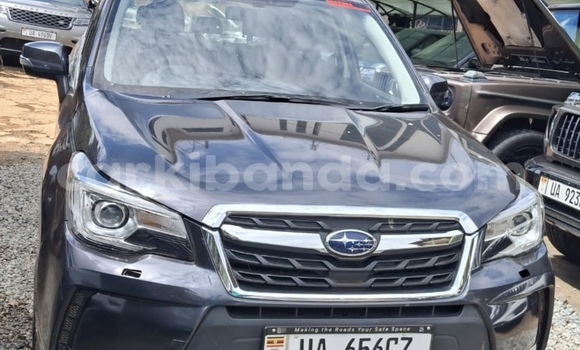 Acheter Neuf Voiture Subaru Forester Autre à Kampala, Ouganda Acheter Neuf Voiture Subaru Forester Autre à Kampala, Ouganda