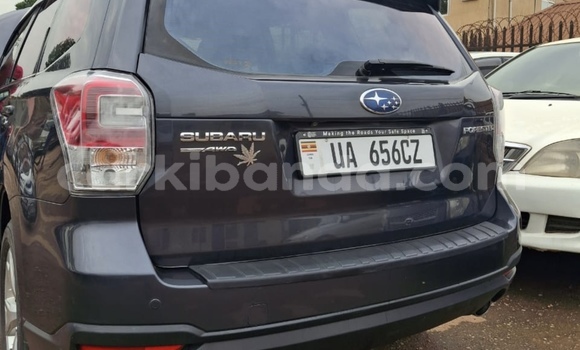Buy New Subaru Forester Other Car in Kampala in Uganda Buy New Subaru Forester Other Car in Kampala in Uganda