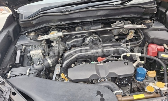 Buy New Subaru Forester Other Car in Kampala in Uganda Buy New Subaru Forester Other Car in Kampala in Uganda