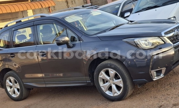 Buy New Subaru Forester Other Car in Kampala in Uganda Buy New Subaru Forester Other Car in Kampala in Uganda