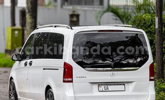 Acheter Neuf Voiture Mercedes‒Benz 200 Blanc à Kampala, Ouganda Acheter Neuf Voiture Mercedes‒Benz 200 Blanc à Kampala, Ouganda