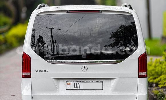 Acheter Neuf Voiture Mercedes‒Benz 200 Blanc à Kampala, Ouganda Acheter Neuf Voiture Mercedes‒Benz 200 Blanc à Kampala, Ouganda