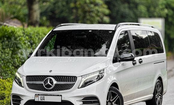 Acheter Neuf Voiture Mercedes‒Benz 200 Blanc à Kampala, Ouganda Acheter Neuf Voiture Mercedes‒Benz 200 Blanc à Kampala, Ouganda