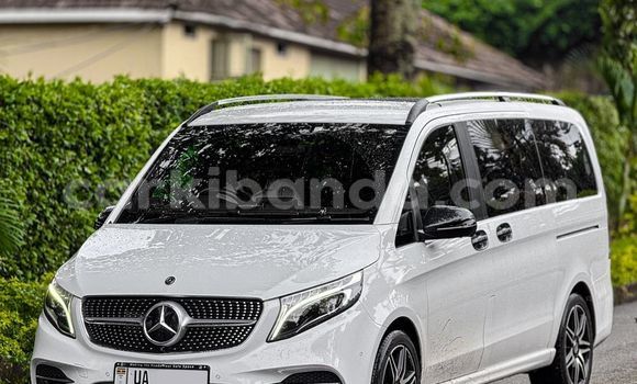 Acheter Neuf Voiture Mercedes‒Benz 200 Blanc à Kampala, Ouganda Acheter Neuf Voiture Mercedes‒Benz 200 Blanc à Kampala, Ouganda
