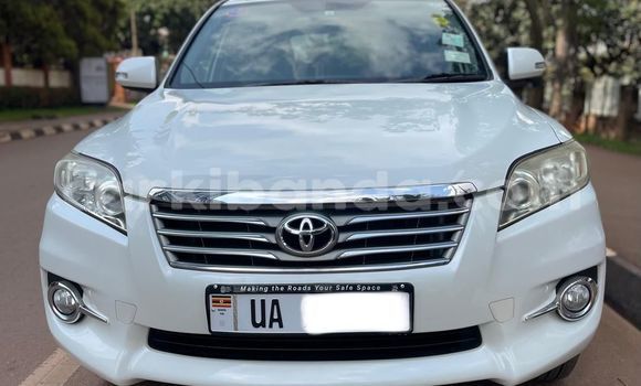 Buy New Toyota Vanguard White Car in Kampala in Uganda Buy New Toyota Vanguard White Car in Kampala in Uganda