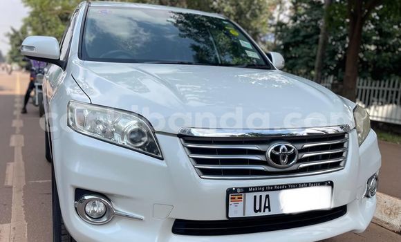 Nunua Mpya Toyota Vanguard Nyeupe Gari ndani ya Kampala nchini Uganda Nunua Mpya Toyota Vanguard Nyeupe Gari ndani ya Kampala nchini Uganda