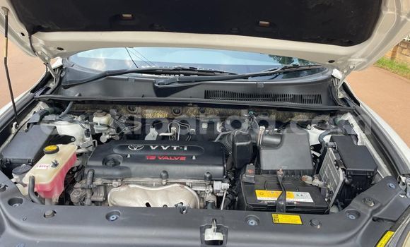 Nunua Mpya Toyota Vanguard Nyeupe Gari ndani ya Kampala nchini Uganda Nunua Mpya Toyota Vanguard Nyeupe Gari ndani ya Kampala nchini Uganda