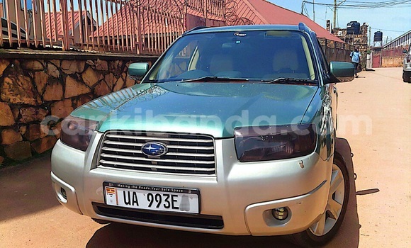 Buy Used Subaru Forester Green Car in Kampala in Uganda Buy Used Subaru Forester Green Car in Kampala in Uganda