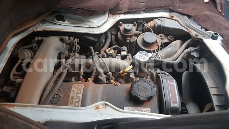 Big with watermark 51648853 1160591234122376 3252810751689097216 n