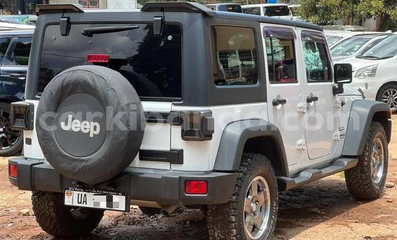 Nunua Mpya Jeep Wrangler Nyeupe Gari ndani ya Kampala nchini Uganda Nunua Mpya Jeep Wrangler Nyeupe Gari ndani ya Kampala nchini Uganda