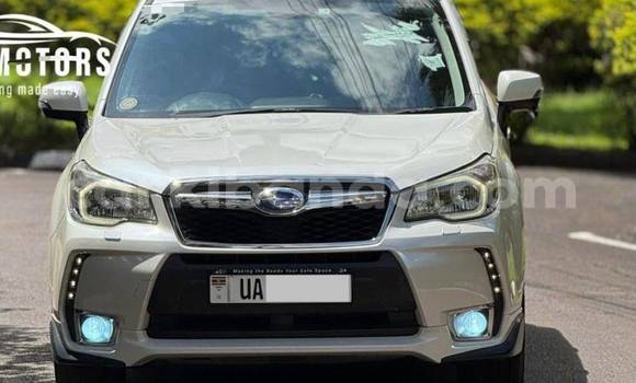 Buy New Subaru Forester White Car in Kampala in Uganda Buy New Subaru Forester White Car in Kampala in Uganda