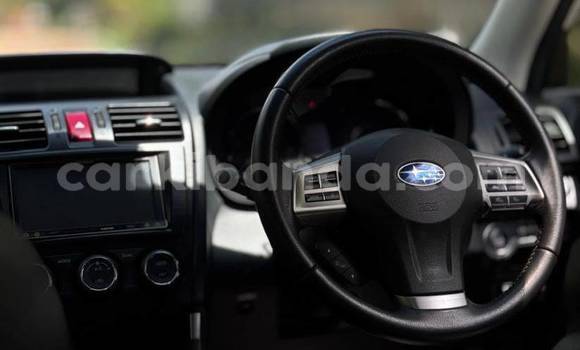 Buy New Subaru Forester White Car in Kampala in Uganda Buy New Subaru Forester White Car in Kampala in Uganda