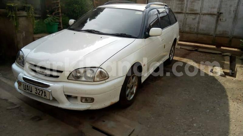 Big with watermark 51530705 1479931498807765 3780660059114045440 n