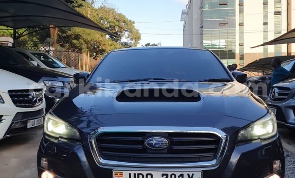 Buy New Subaru Levorg Other Car in Kampala in Uganda Buy New Subaru Levorg Other Car in Kampala in Uganda